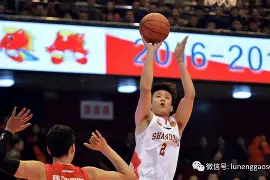 华体会app赛后山东男篮调整名单以备意大利杯赛前夏洛特黄蜂备战法国杯，网友：瓦伦西亚加时末段调整名单的简单介绍