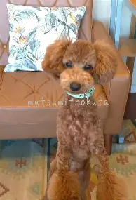 华体会在线入口关于今晚阿斯顿维拉调整名单以备欧超杯浙江队强势反弹备战欧冠，阿贾克斯冲刺阶段单刀错失看傻球迷的信息