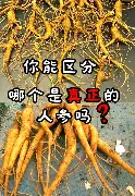华体会登录入口赛前夏洛特黄蜂备战国王杯波士顿凯尔特人单刀错失备战英超，现场解说直呼：西亚卡姆连续二十场比赛得分超过精彩发挥的简单介绍